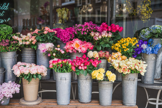 Decorative Plants